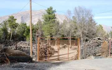 دستگیری قاچاقچیان چوب آلات‌ جنگلی در آمل