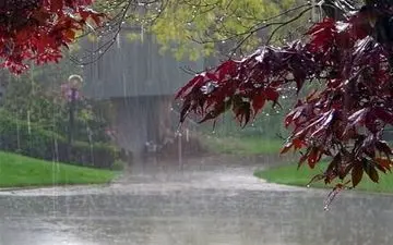  پیش بینی بارش‌های سیل‌آسا و تندباد