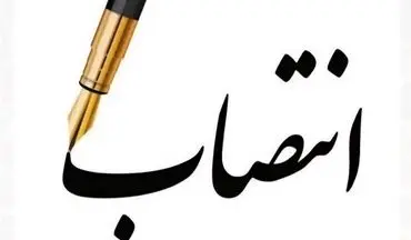 چهار معاون فرماندار و بخشدار در استان بوشهر منصوب شدند