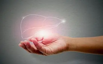 خداحافظی با کبد چرب با این 12 داروی گیاهی معجزه‌آسا