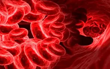 چگونه می شود از غلظت خون جلوگیری کرد؟