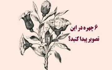 در این تصویر 6 چهره مخفی شده است / پیداشون کنی نابغه ای! + پاسخ