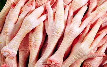 پای مرغ هم پرید