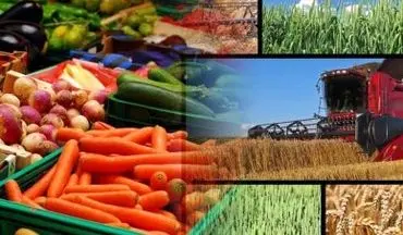  اتلاف ۲۳ میلیون تُن محصول کشاورزی در کشور