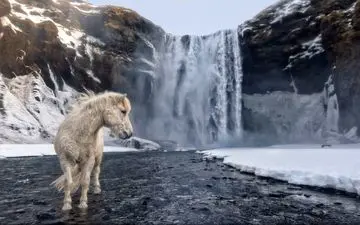 عکس منتخب نشنال جئوگرافیک | ایسلند وحشی
