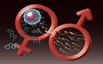سوداگری میان متقاضیان بچه و پول تحت عنوان اهدای تخمک | در بازار دلالان سلامت چه می‌گذرد؟