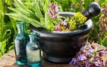 مقایسه  داروهای گیاهی با شیمیایی در بهبود اعصاب