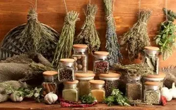  سالانه ۲۰۰ هزار تن گیاهان دارویی تولید می‌شود