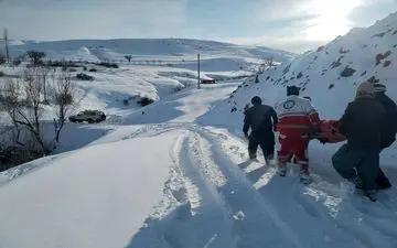 پایان اضطراب در کندوان؛ نجات در آخرین لحظه؛ تولد ایمن سه نوزاد در میانه