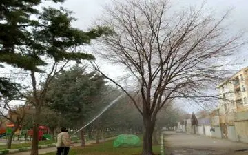 شروع عملیات سم‌پاشی زمستانه درختان با روغن وُلک در کرمانشاه
