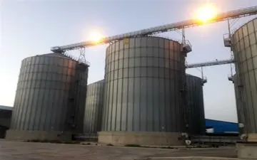 ۲۰ کارخانه غیرمجاز خوراک دام در قم وجود دارد