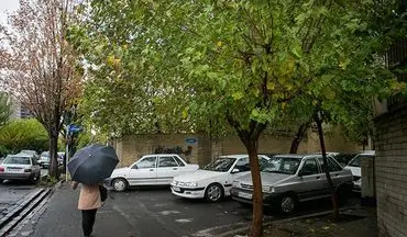 باران هوای تهران را "پاک" کرد