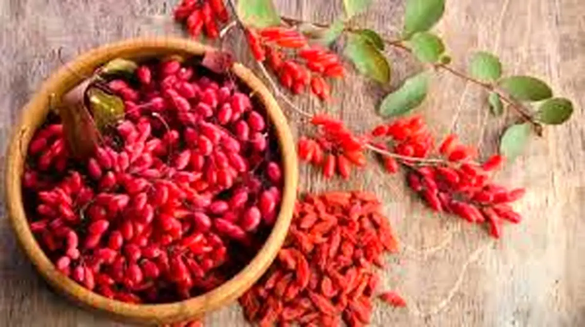 گنجینهای سرخ با خواص شگفتانگیز