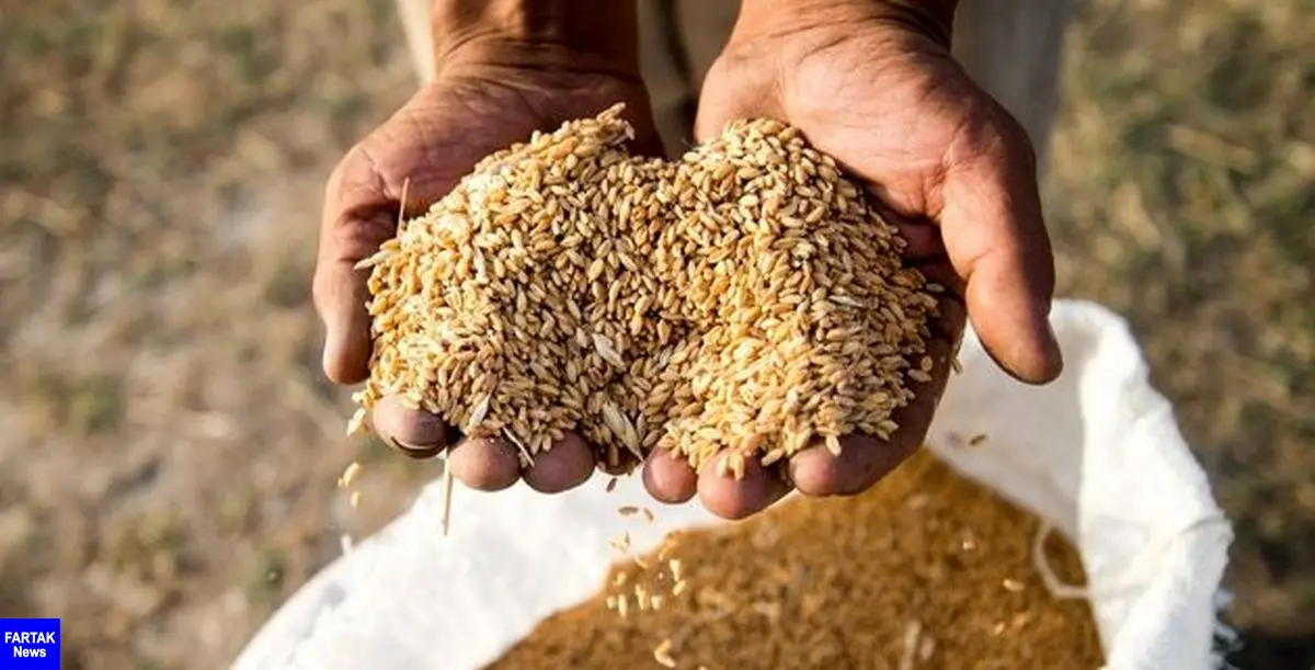راه برای هرگونه قاچاق گندم در استان بسته شود