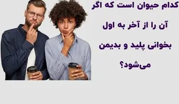 کدام حیوان است که اگر آن را از آخر به اول بخوانی پلید و بدیمن می‌شود؟