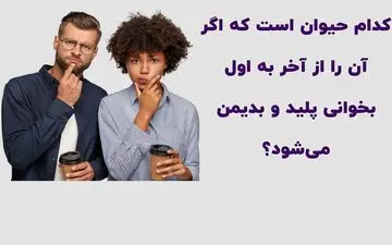 کدام حیوان است که اگر آن را از آخر به اول بخوانی پلید و بدیمن می‌شود؟