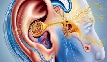 هشدار | این مشکل در گوش را حتما پیگیری کنید!