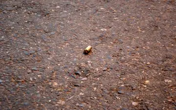 حادثه خونین در ساری