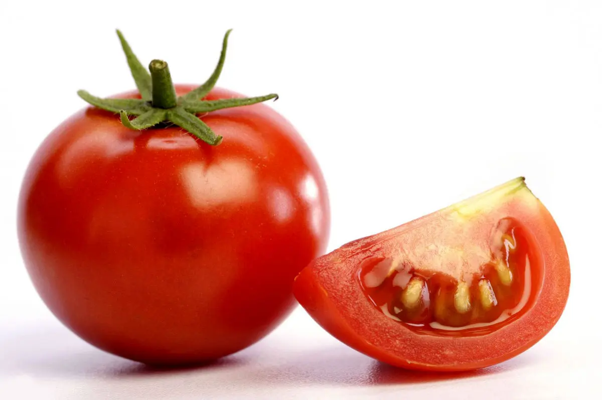 ارزانی گوجه فرنگی تا هفته آینده ؛ گوجه به کیلویی چند می رسد؟
