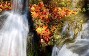کاهش دمای برخی شهرها تا 8 درجه در آستانه فصل پاییز