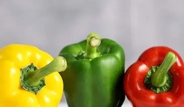 تفاوت فلفل دلمه ای نر و ماده در چیست؟/ فلفل دلمه ای نر برای پخت و پز بهتر است یا ماده ؟