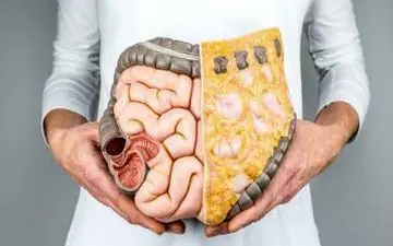 
ابتلای ۳۰ درصد ایرانی‌ها به بیماری‌های گوارش و کبد
