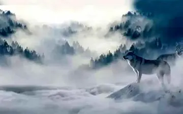 قدرت بینایی خودت رو محک بزن و بگو چند گرگ در تصویر می بینی ؟