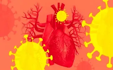 
همه آنچه که باید از روماتیسم قلبی بدانید |چه کسانی در معرض خطر روماتیسم قلبی هستند؟