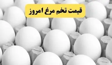 گرانی تخم‌مرغ؛ دانه‌ای ۸ هزار تومان | آینده قیمت‌ها چه می‌شود؟
