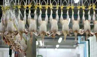 تشکیل پرونده گران‌فروشی برای یک کشتارگاه مرغ در کرمانشاه