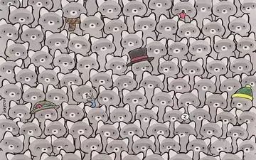 تست بینایی؛ فقط ۵ ثانیه برای پیدا کردن گربه فرصت دارید
