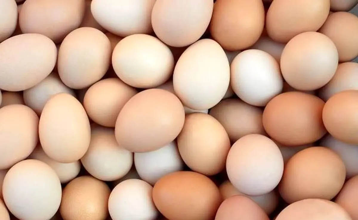 تخممرغ این خوردنی شگفت انگیز را دست کم نگیرید