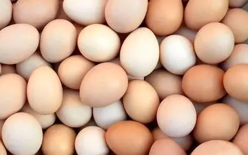 تخم‌مرغ این خوردنی شگفت‌ انگیز را دست کم نگیرید