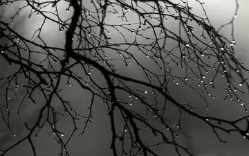 بارش باران شدید از امشب در تهران 