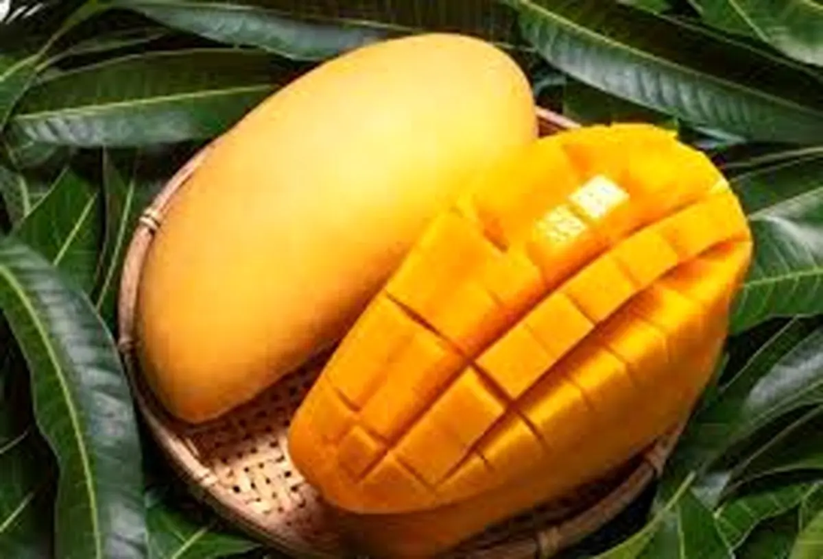 مصرف انبه برای این گروه واجب است