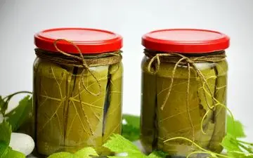 طرز تهیه کنسرو برگ مو | خیلی خوب میشه!