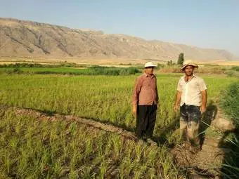 سرابله به برنج عنبر بو و  سراب وچشمه‌سارهای پر آب مشهور است، اما شهری که بعد از سال‌ها خشک‌سالی در کشور یکی از  پرآب‌ترین شهرهای ایران است
