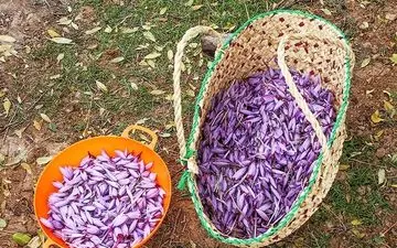 پذیرش انبارهای جدید، به رونق بیشتر دادوستد زعفران در بورس کالا می‌انجامد