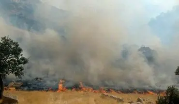 آتش سوزی این بار در ارتفاعات سرکش گیلانغرب
