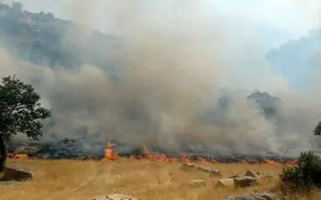 آتش سوزی این بار در ارتفاعات سرکش گیلانغرب