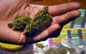 ‍ ماده مخدر کروکودیل  