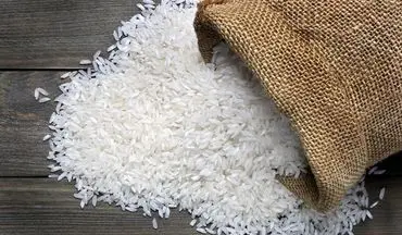 قیمت برنج هندی ارزان شد 