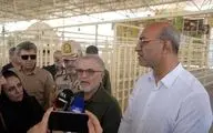 دعوت معاون وزیر کشور از زائران برای انتخاب مرز خسروی در مسیر اربعین