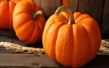 درمان های غذایی برای دیابتی ها در فصل پاییز