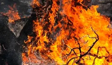  ۱۷ نفر برای آتش سوزی‌های جنگل‌های لرستان دستگیر می‌شوند 
