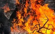 آتش‌سوزی «سیه‌چل» ایلام پس از ۱۷ ساعت مهار شد