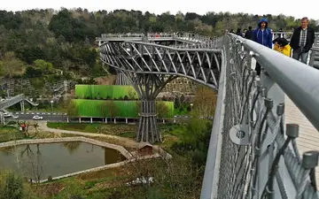 خودکشی مرد جوان از روی پل طبیعت تهران