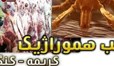 بستری شدن ۲ دامدار مشکوک به تب کریمه در نوشهر