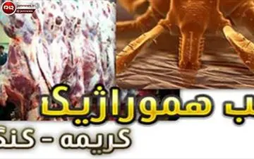 بستری شدن ۲ دامدار مشکوک به تب کریمه در نوشهر