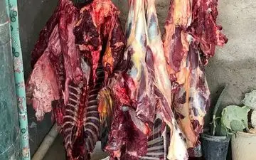 تایید رسمی عرضه گوشت اسب و الاغ 